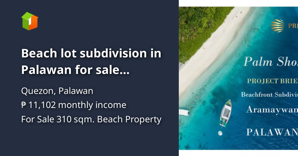 Beach lot subdivision in Palawan for sale (Installment or Cash) [Beach