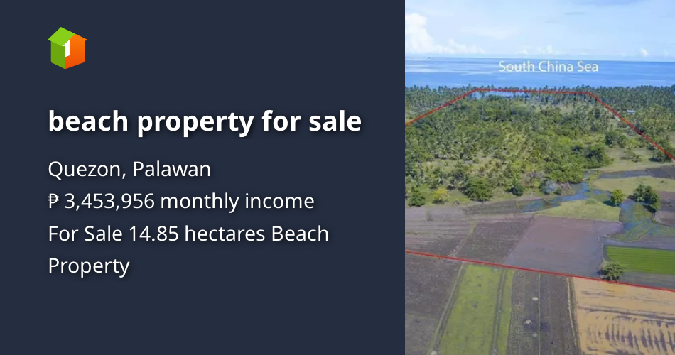 Beach property for sale [Beach Property 🏖️] (May 2024) in Quezon