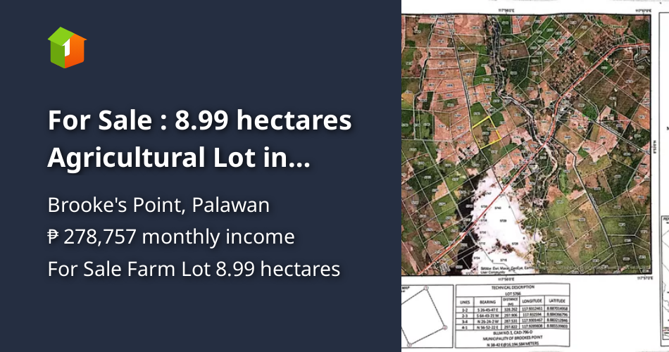 Php200/sqm 8.99 hectares Agricultural Lot For Sale in Palawan [Lots 🚜