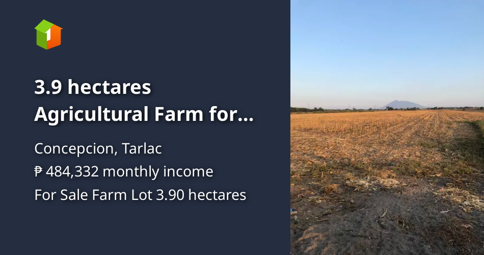 3.9 hectares Agricultural Farm for sale in Concepcion Tarlac [Lot 🚜