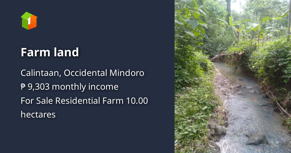 Farm land [Lot 🚜] (November 2023) in Calintaan, Occidental Mindoro for sale