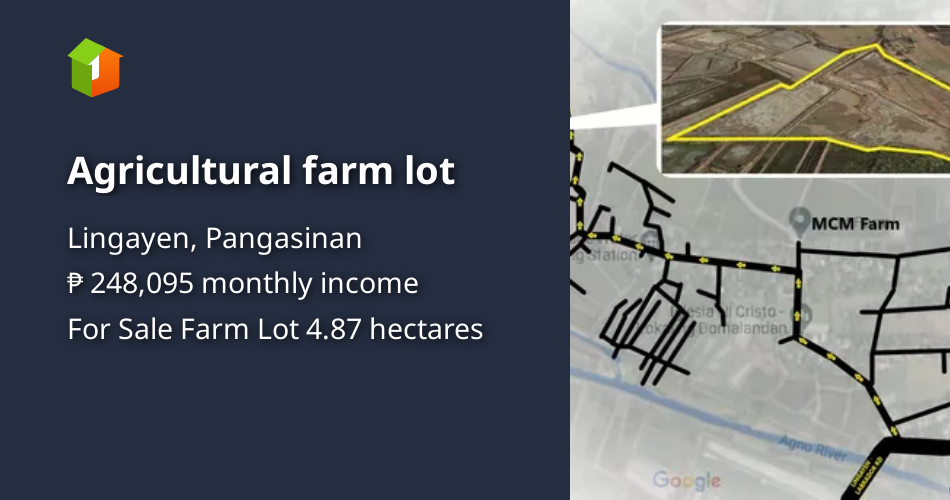 Agricultural farm lot [Lots 🚜] (October 2024) in Lingayen, Pangasinan