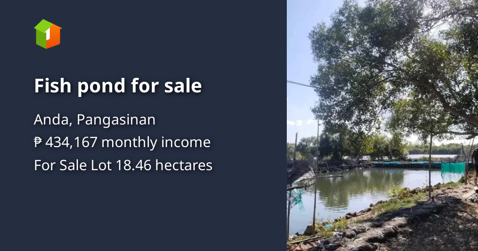 Fish pond for sale [Lot 🚜] (October 2023) in Anda, Pangasinan for sale