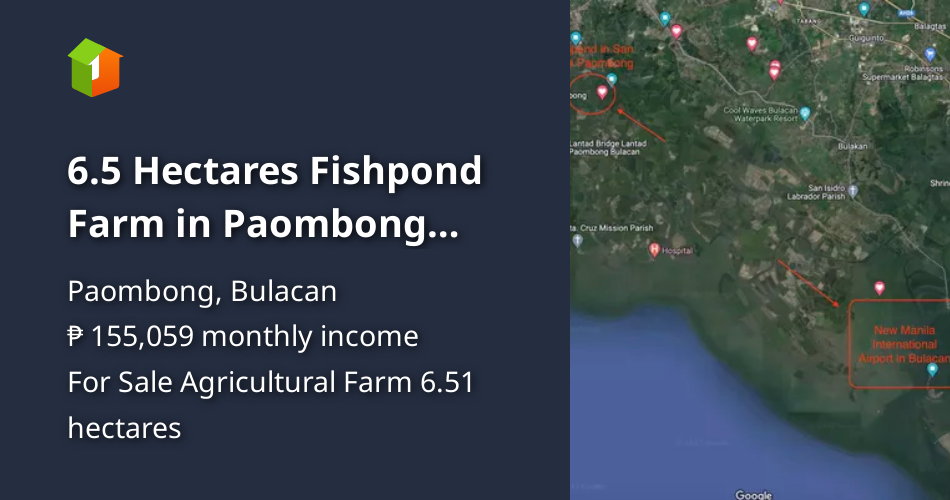 6.5 Hectares Fishpond Farm in Paombong near Bulacan Intl Airport [Lot 🚜]  (August 2023) in Paombong, Bulacan for sale